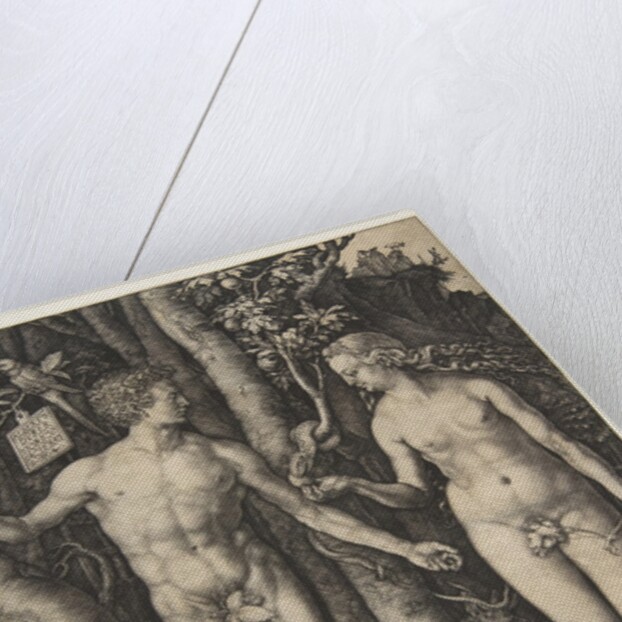 Adam and Eve, 1504 by Albrecht Dürer