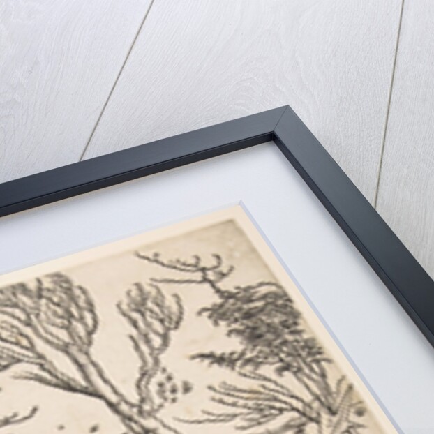 The Knight and Man-at-arms by Albrecht Dürer