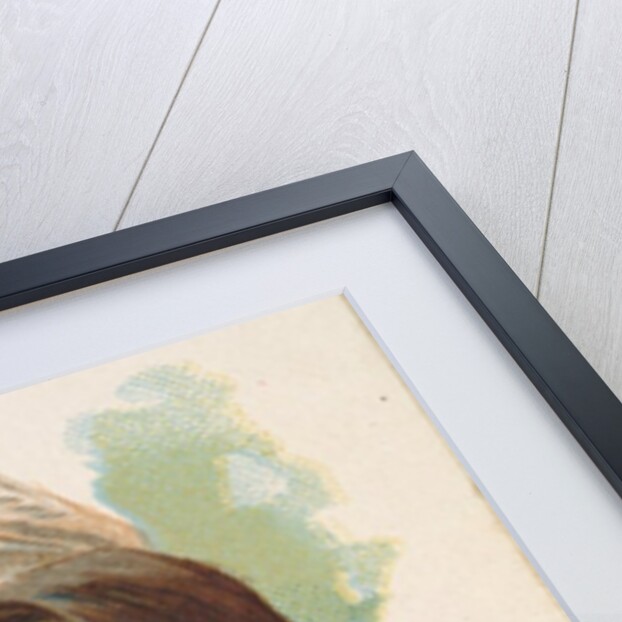 Big Chief, Ponca, from the American Indian Chiefs series for Allen & Ginter Cigarette…, 1888 by Allen & Ginter