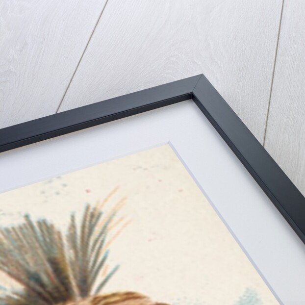 Big Bear, Missouria, from the American Indian Chiefs series for Allen & Ginter Cigare…, 1888 by Allen & Ginter