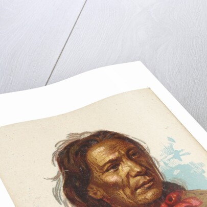 Mad Bear, Lower Yanktonas Sioux, from the American Indian Chiefs series for Allen & G…, 1888 by Allen & Ginter