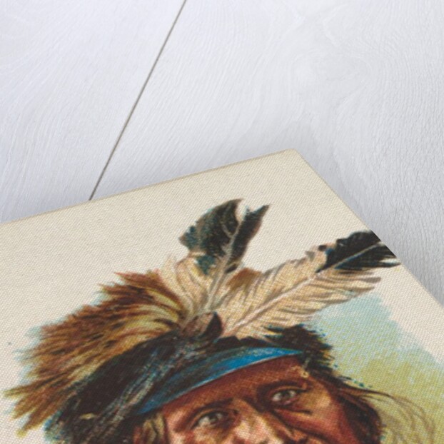 Red Thunder, Blackfeet Sioux, from the American Indian Chiefs series for Allen & Gint…, 1888 by Allen & Ginter