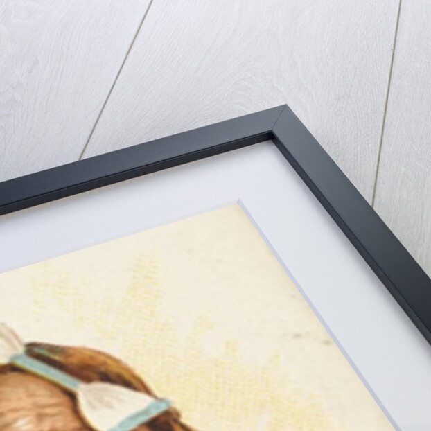 Iron Bull, Crow, from the American Indian Chiefs series for Allen & Ginter Cigarettes…, 1888 by Allen & Ginter