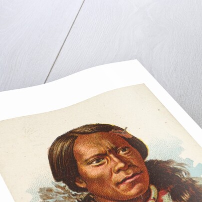 John Yellow Flower, Ute, from the American Indian Chiefs series for Allen & Ginter Ci…, 1888 by Allen & Ginter