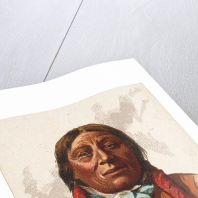 Young Whirlwind, Southern Cheyenne, from the American Indian Chiefs series for Allen …, 1888 by Allen & Ginter