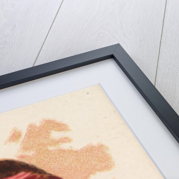 Red Bird, Chippeway, from the American Indian Chiefs series for Allen & Ginter Cigare…, 1888 by Allen & Ginter