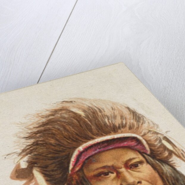 Chief Gall, Hunkpapa Sioux, from the American Indian Chiefs series for Allen & Ginter…, 1888 by Allen & Ginter