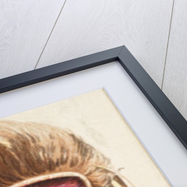 Chief Gall, Hunkpapa Sioux, from the American Indian Chiefs series for Allen & Ginter…, 1888 by Allen & Ginter