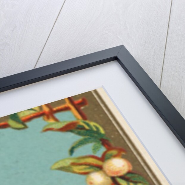 Wren, from the Birds of America series for Allen & Ginter Cigarettes Brands, 1888 by Allen & Ginter