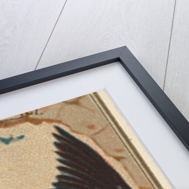 Scarlet Tanager, from the Birds of America series for Allen & Ginter Cigarettes Brands, 1888 by Allen & Ginter