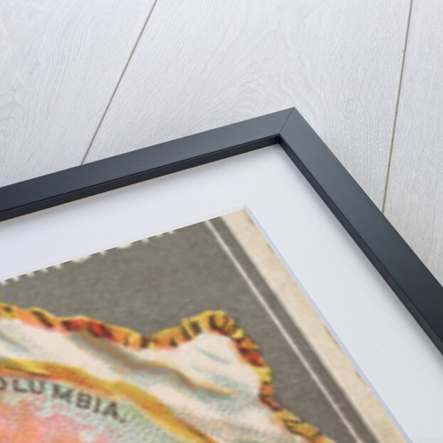 Washington, from the City Flags series for Allen & Ginter Cigarettes Brands, 1887 by Allen & Ginter