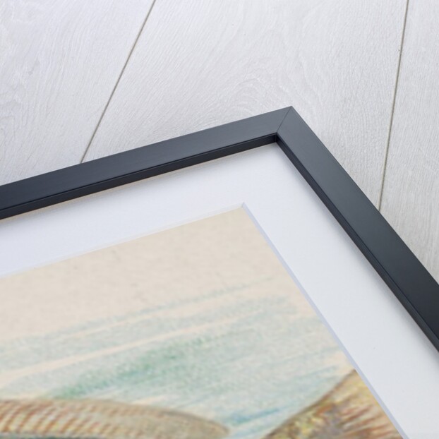 Chub, from the Fish from American Waters series for Allen & Ginter Cigarettes Brands, 1889 by Allen & Ginter