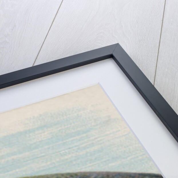 Salmon, from the Fish from American Waters series for Allen & Ginter Cigarettes Brands, 1889 by Allen & Ginter