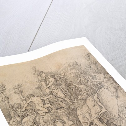 The Triumph of Caesar: The Elephants, ca. 1484-92 by Unknown