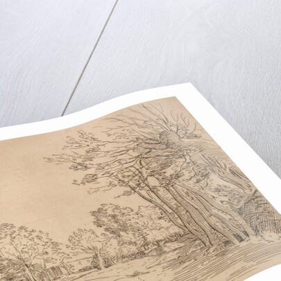 Landscape after Durer by Caylus