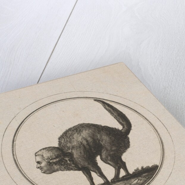 Caricature Showing the Comte de Provence as a Cat, 18th century by Unknown