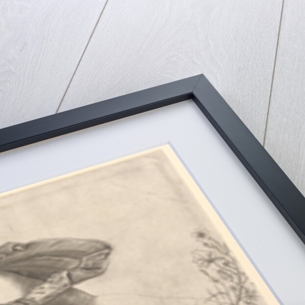 Speculum Romanae Magnificentiae: Flora, mid-16th century by Unknown