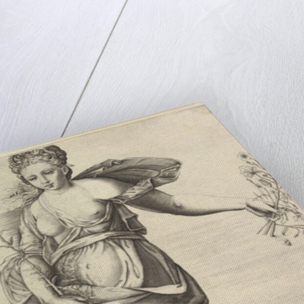 Flora, ca. 1560-70. by Unknown