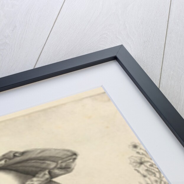 Flora, ca. 1560-70. by Unknown