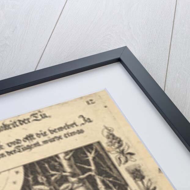 Von sorglichkeit ansächtung, schwere und mühsamkeit der Tugent, so vornemlich in der Demut…, 1652 by Balthasar Schwan