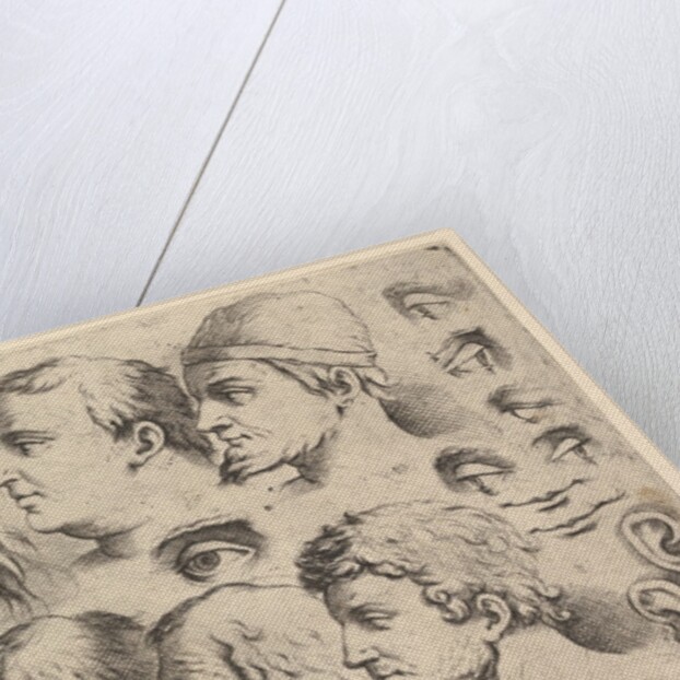 Six Heads, Three Feet, Two Ears, Six Eyes, Four Lips by Unknown