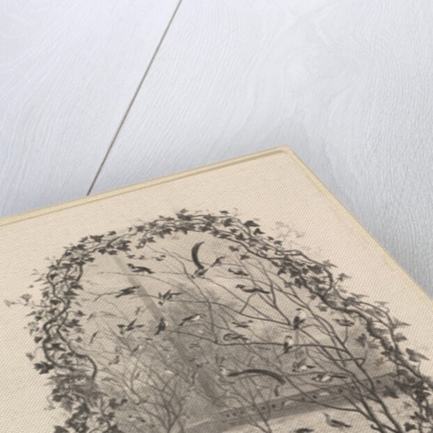 The Sparrow Aviary, 1843 by Charles Francois Daubigny