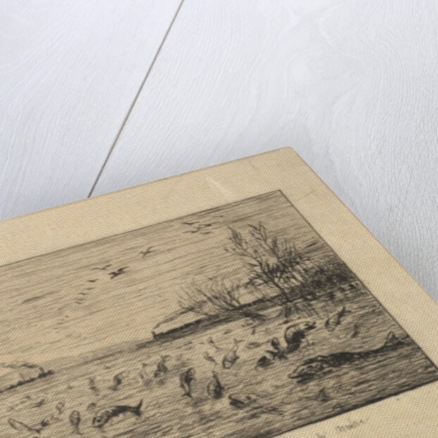 The Fish Rejoice in the Departure of the Cabin Boy, 1861 by Charles Francois Daubigny