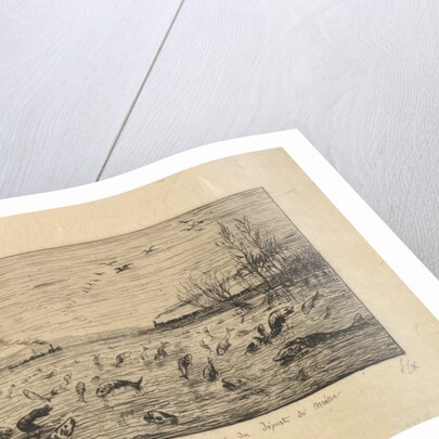 The Fish Rejoice in the Departure of the Cabin Boy, 1861 by Charles Francois Daubigny