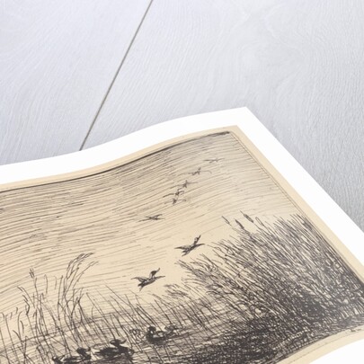 Ducks in the Marshes, [1862], reprinted 1921 by Charles Francois Daubigny