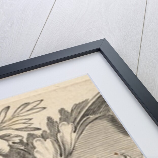 Headband: Basket of Fruit by Claude Mellan