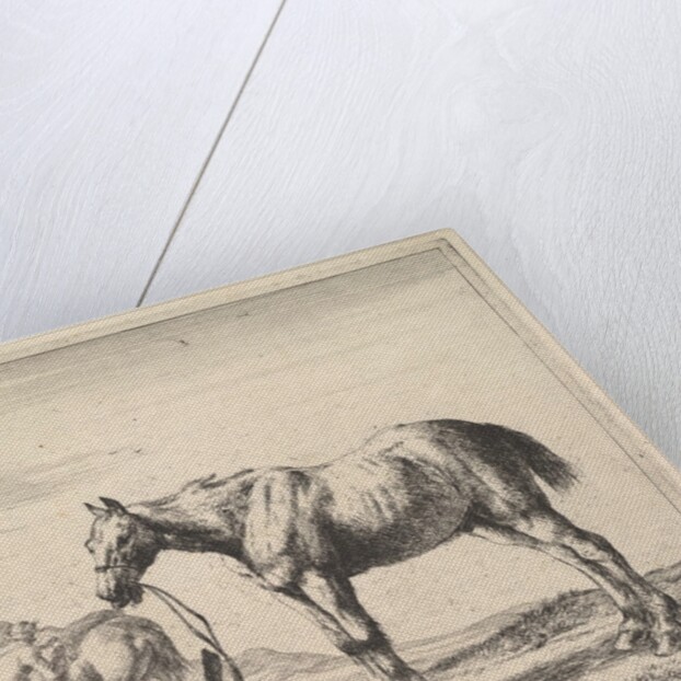 Horse Bound to a Post, turned left by Dirck Stoop