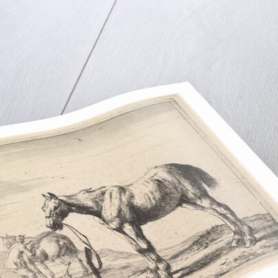 Horse Bound to a Post, turned left by Dirck Stoop