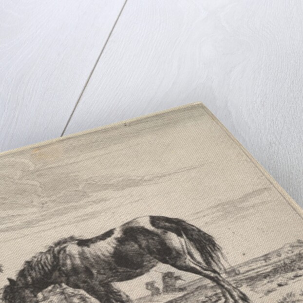 Horse Bound to a Feeding Trough by Dirck Stoop