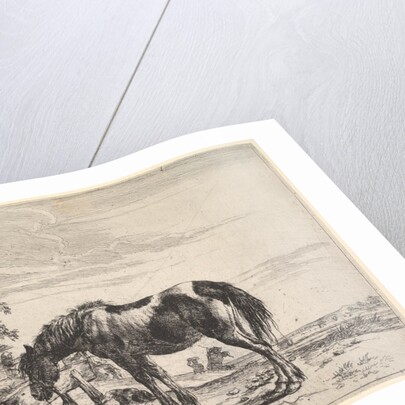 Horse Bound to a Feeding Trough by Dirck Stoop