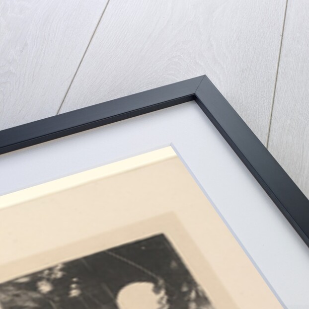 Mlle Bécat at the Café des Ambassadeurs, Paris, 1877-78 by Edgar Degas