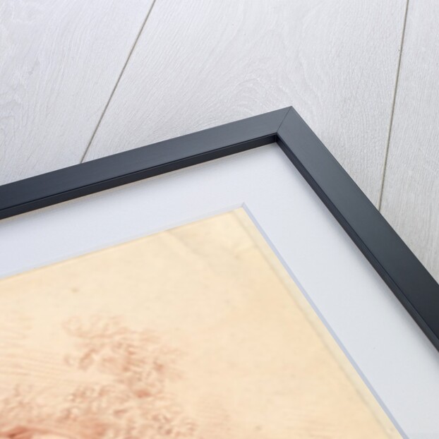 Fountain with Two Cupids, ca. 1773 by Gilles Demarteau