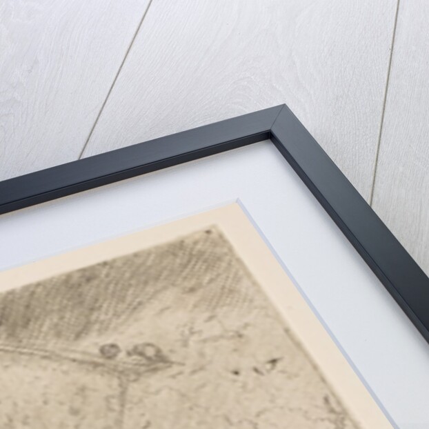 Noah letting the animals into the ark, ca. 1630 by Giovanni Benedetto Castiglione