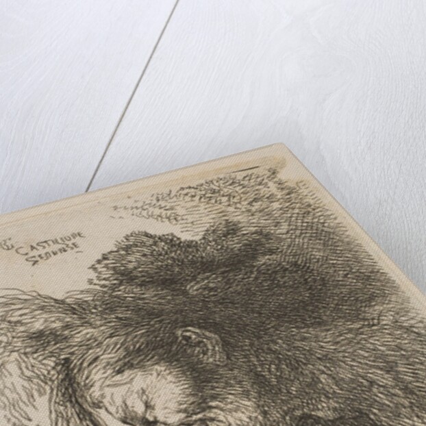 Head of an old man looking down, facing left, from the series 'Small Studies of He…, ca 1645-1650 by Giovanni Benedetto Castiglione