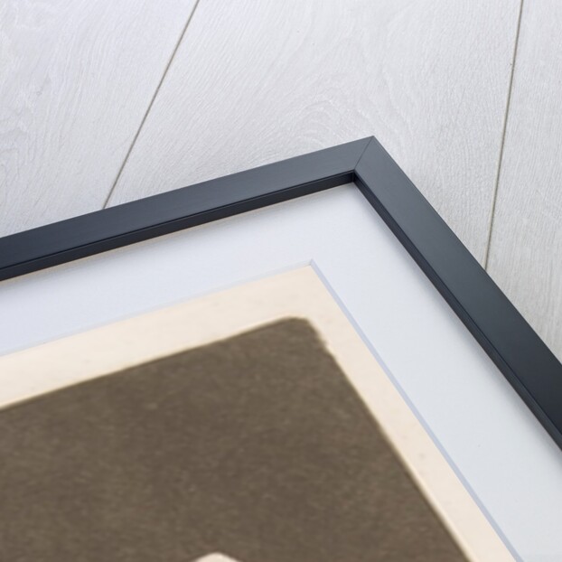 Plate 3 from 'Los Caprichos': Here comes the bogey-man, 1799 by Francisco Goya