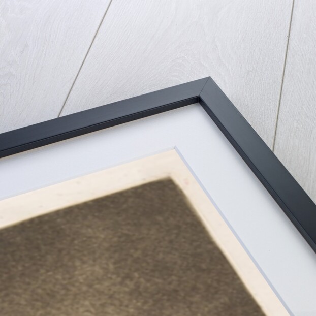 Plate 21 from ' Los Caprichos': How they pluck her!, 1799 by Francisco Goya