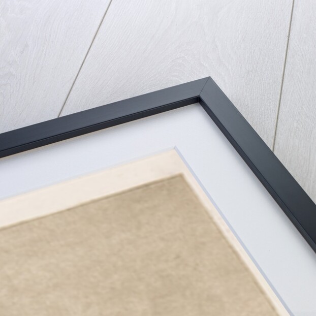 Plate 78 from 'Los Caprichos': Be quick, they are waking up, 1799 by Francisco Goya