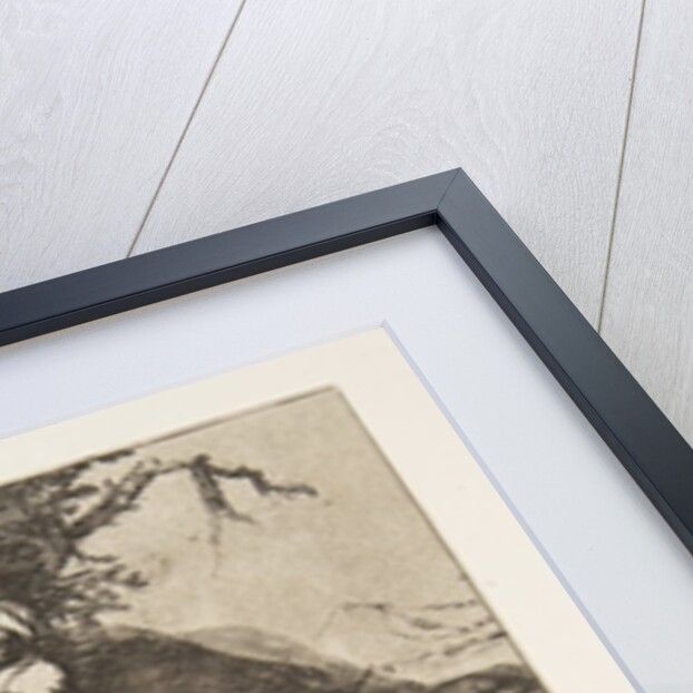 Plate 16 from 'The Disasters of War': 'T…, 1810 by Francisco Goya