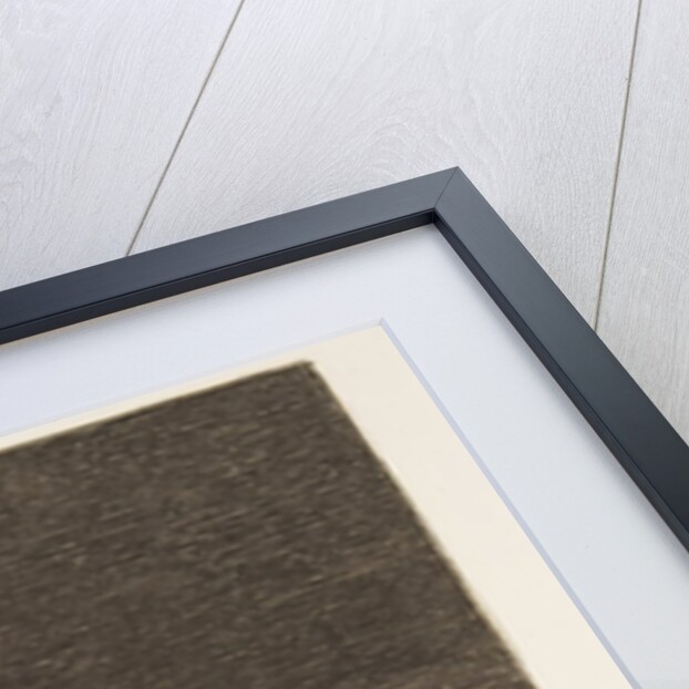 Plate 62 from 'The Disasters of War': 'Th…, 1811-12 by Francisco Goya