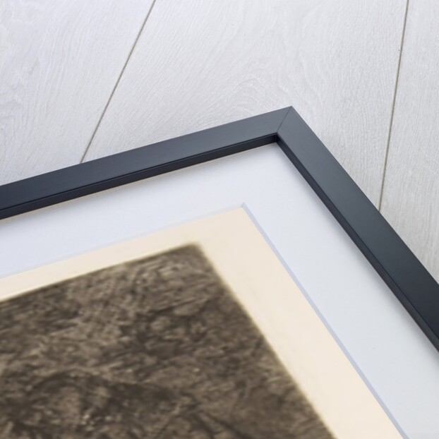 Plate 80 from 'The Disasters of War': 'Wil…, 1810-20, published 1863 by Francisco Goya