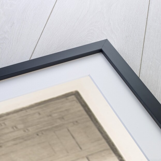 Plate 20 from the 'Tauromaquia':The agility and audacity of Juanito Apiñani in [the ring] …, 1816 by Francisco Goya