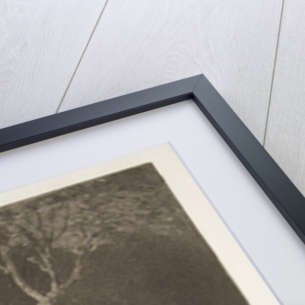 Plate 2 from the 'Disparates': Folly of Fear, ca. 1816-23 by Francisco Goya