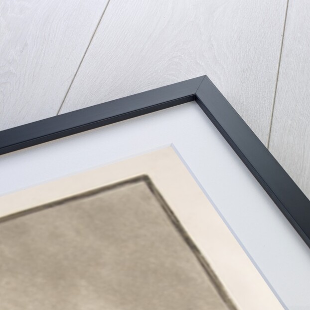 Plate 18 of the 'Tauromaquia': The daring of Martincho in the ring at Saragossa, 1816 by Francisco Goya