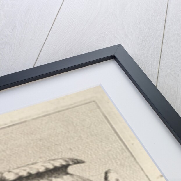 Design for a Vase with a Bacchic Frieze, from: Vases, 1746 by Jacques Francois Joseph Saly