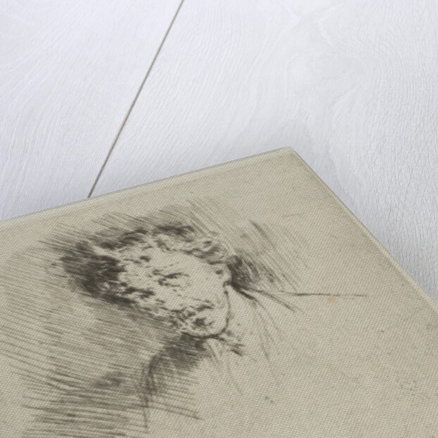 Whistler with the White Lock, 1879 by James Abbott McNeill Whistler