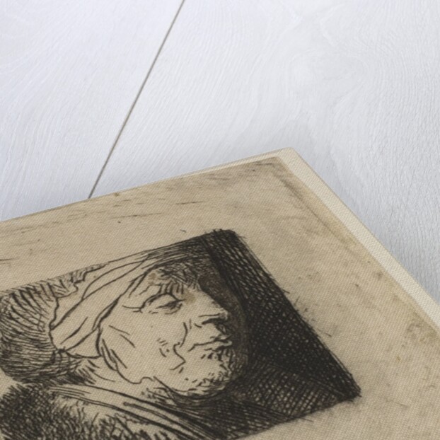 Head of an Old Woman, 1620-40 by Jan Georg van Vliet